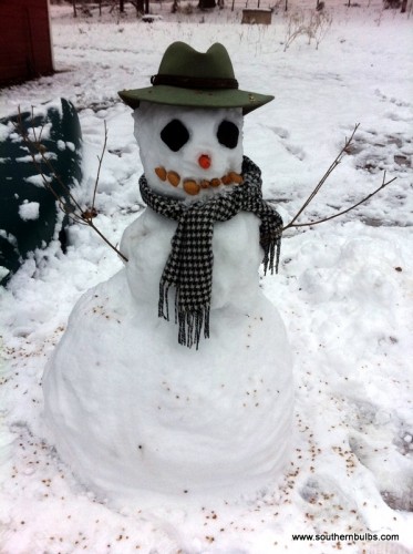 A stylish snowman