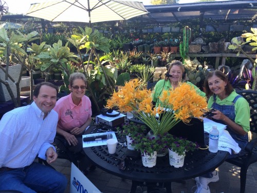 On air with Beverly Welch and Linda Gay of the The Arborgate, and joined with Heidi Sheesley of Tree Search Farms!