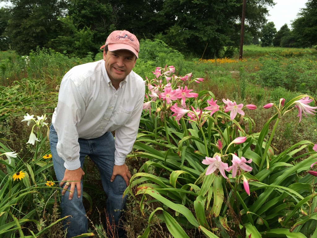 Chris Weisinger standing next to Blooming Crinums