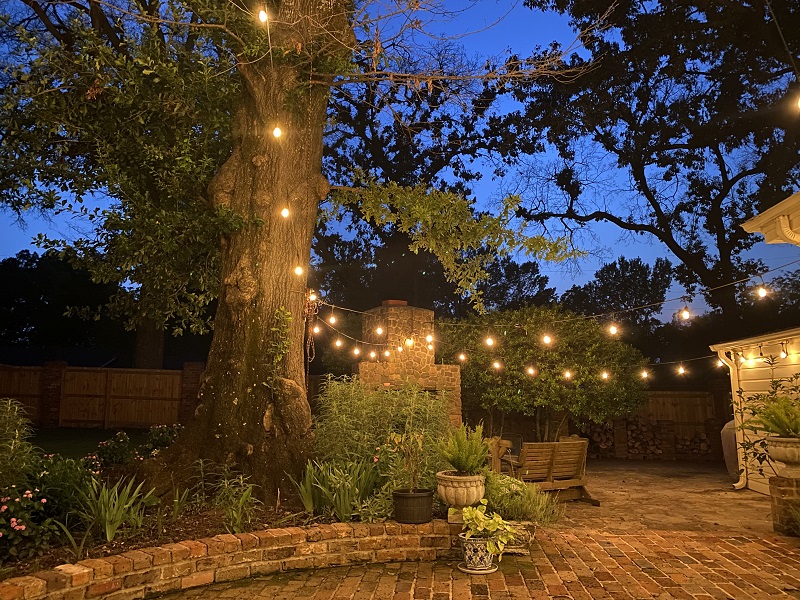 A large oak tree adding character to our back patio.