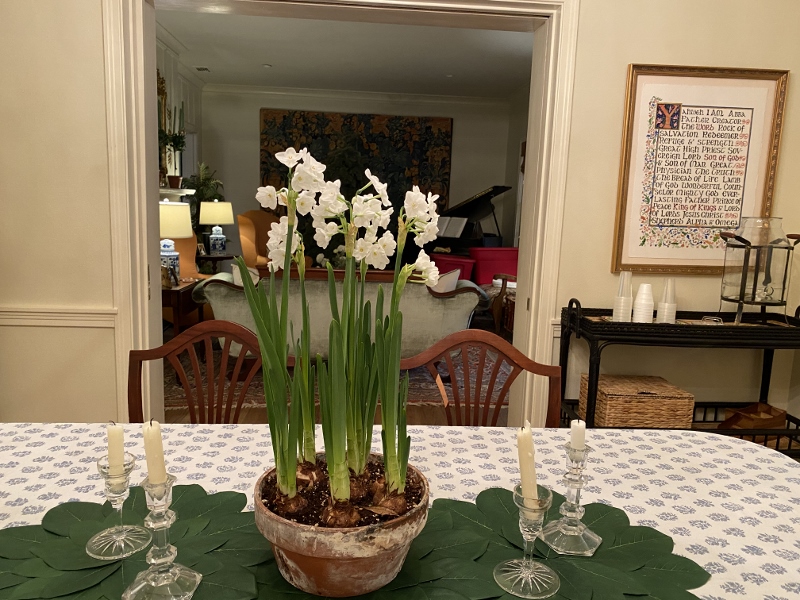 A vase with white flowers on a table

Description automatically generated with medium confidence