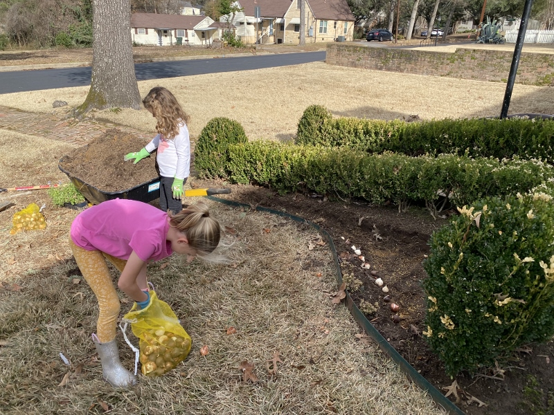 Girls helping plant
