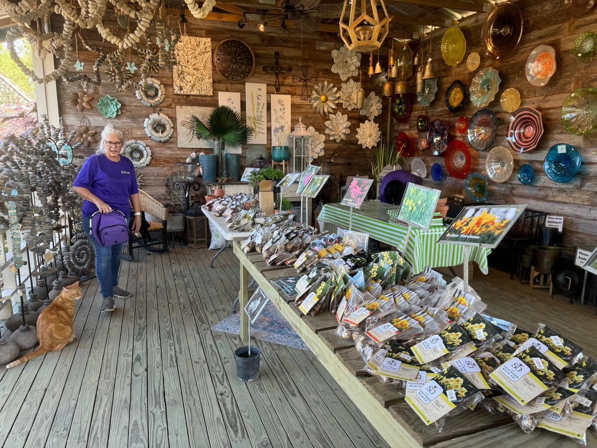 The bulb market set up under the pavilion
