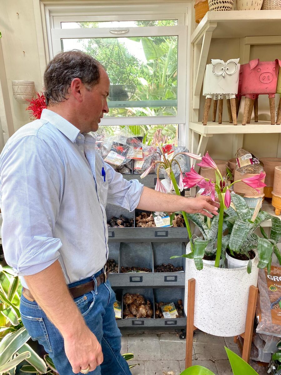 Chris arranging amaryllis blooms at a garden shop