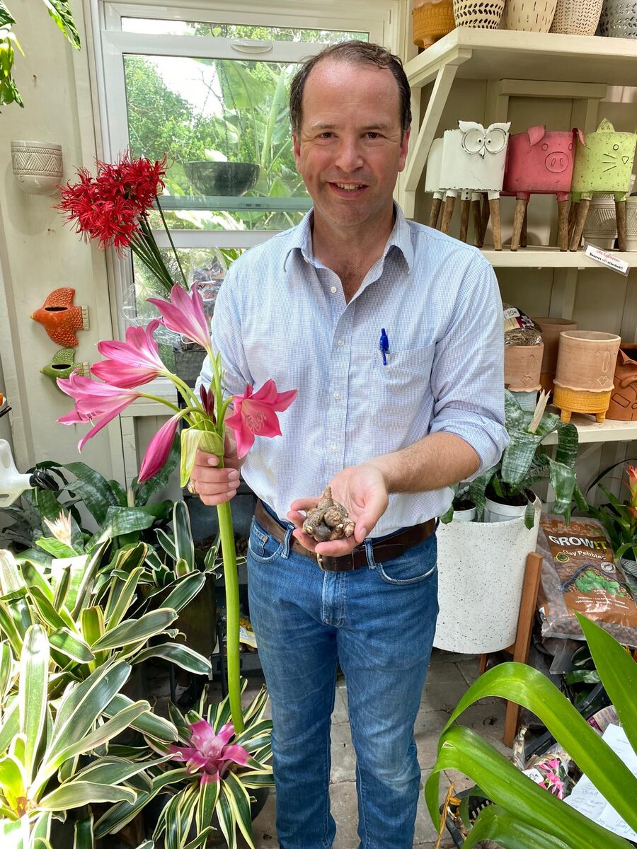 Chris with a red spider lily and a handful of bulbs